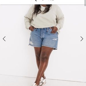 Madewell Relaxed Denim Shorts Homecrest Wash